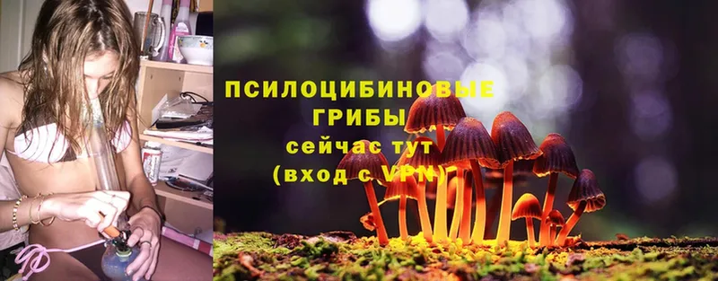 hydra   Кяхта  Псилоцибиновые грибы Psilocybe  продажа наркотиков 